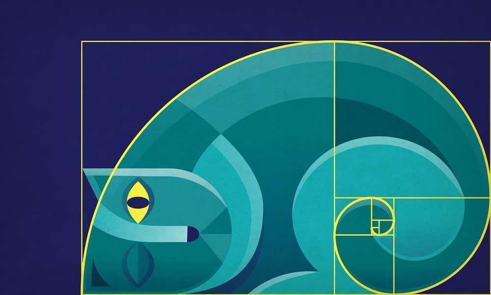 The Golden Ratio: A Timeless Tool in Design for Centuries
